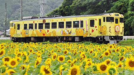 ひまわり祭りが開園されます！